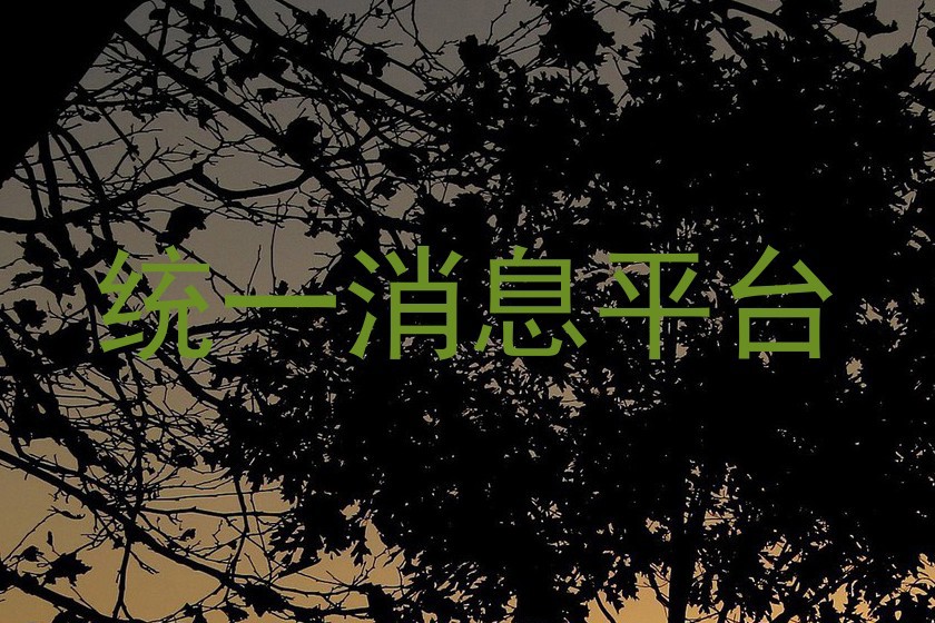 统一消息平台