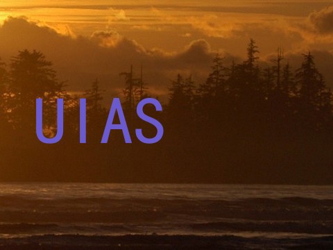UIAS