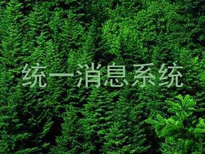 统一消息系统