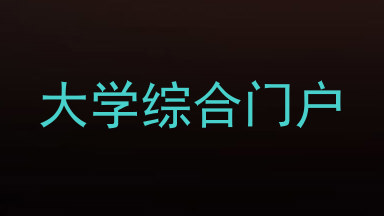 大学综合门户