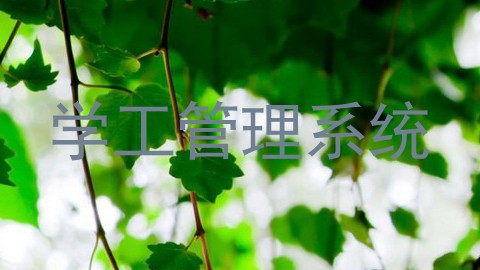 学工管理系统