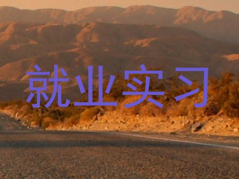 就业实习
