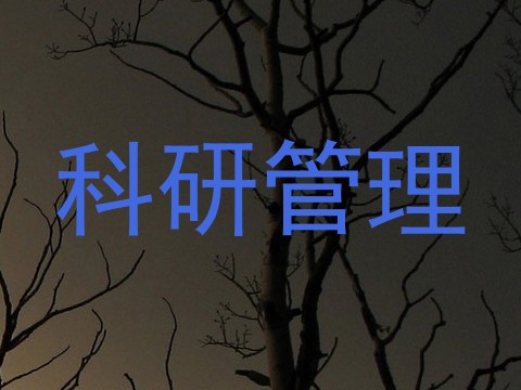 科研管理