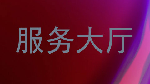 服务大厅
