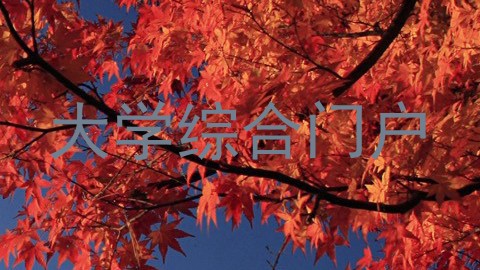 大学综合门户