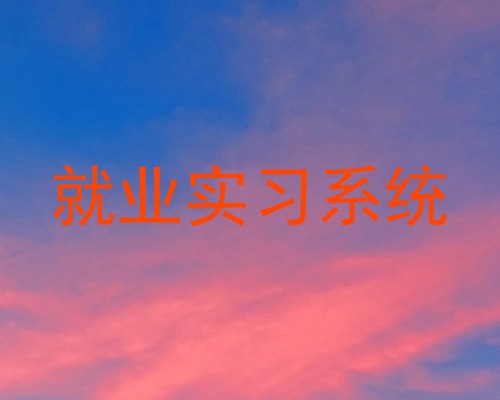 就业实习系统