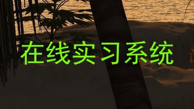 在线实习系统