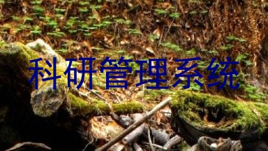 科研管理系统