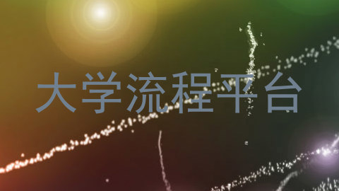 大学流程平台