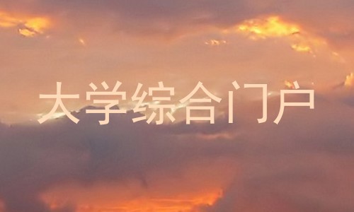 大学综合门户