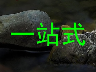 一站式