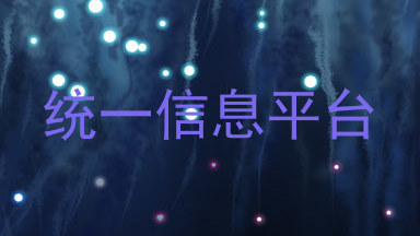 统一信息平台