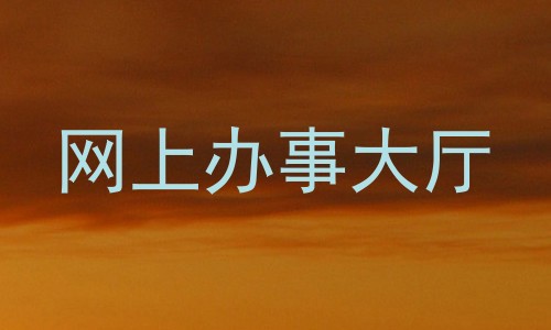 网上办事大厅