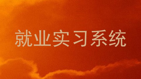 就业实习系统
