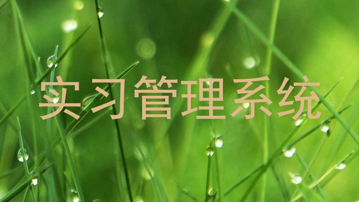 实习管理系统