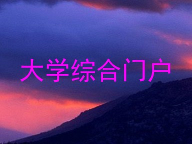 大学综合门户
