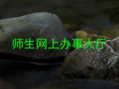 师生网上办事大厅