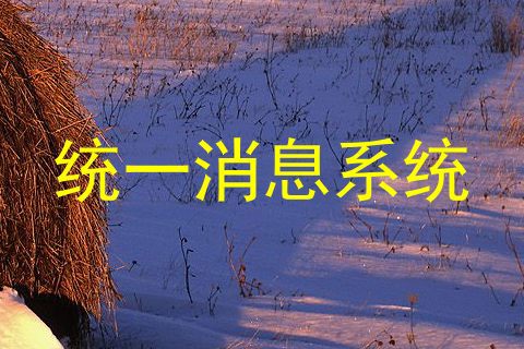 统一消息系统