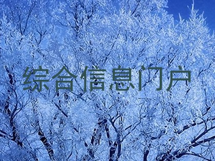 综合信息门户