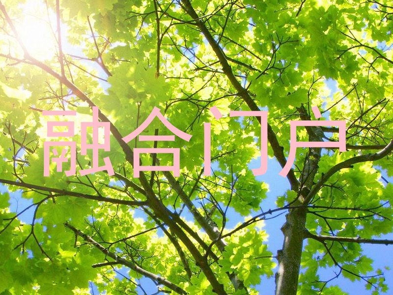 融合门户