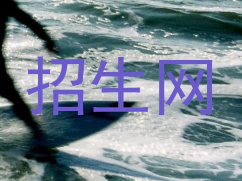 招生网