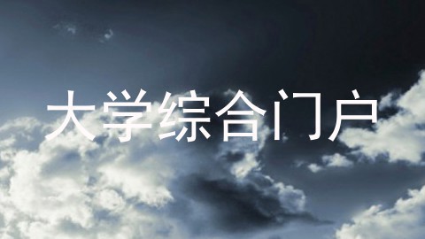 大学综合门户