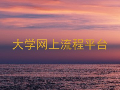 大学网上流程平台