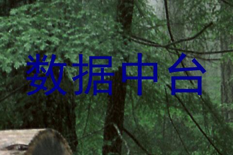 数据中台