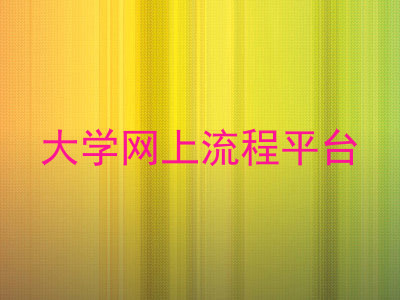 大学网上流程平台