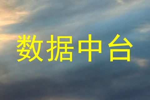 数据中台