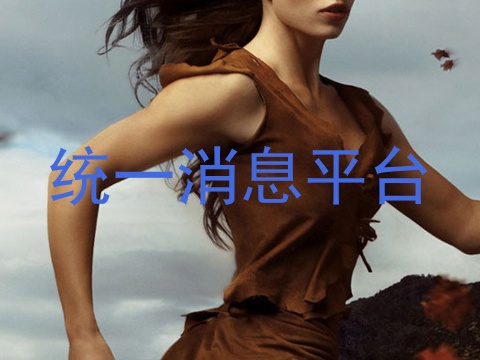 统一消息平台