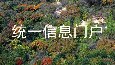 统一信息门户