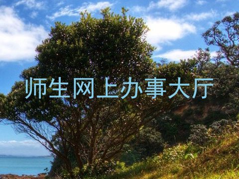 师生网上办事大厅