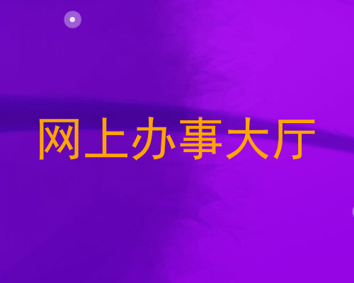 网上办事大厅