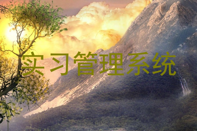 实习管理系统