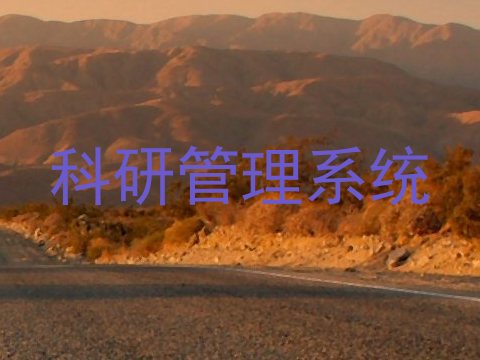 科研管理系统