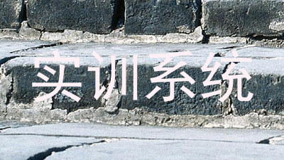 实训系统