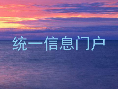 统一信息门户
