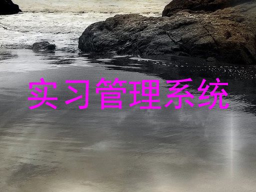 实习管理系统