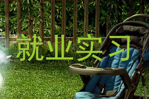 就业实习
