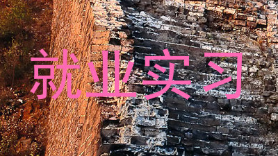 就业实习