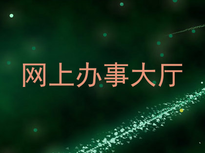 网上办事大厅
