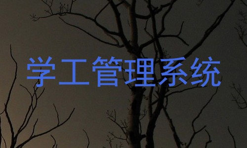 学工管理系统