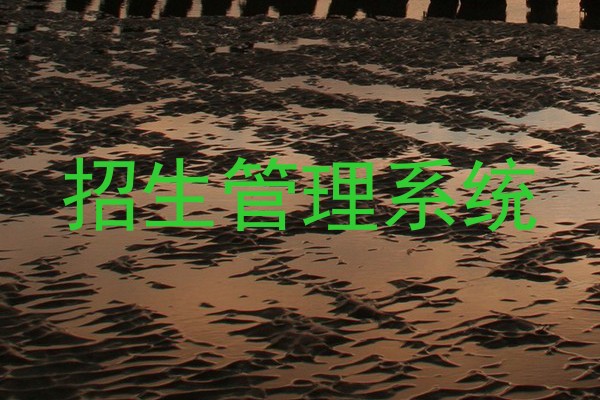 招生管理系统