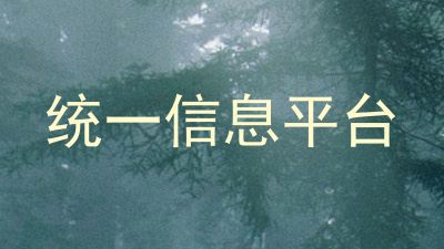 统一信息平台
