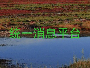 统一消息平台