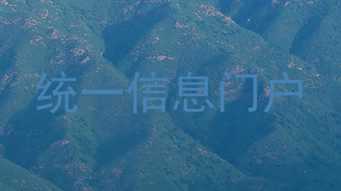 统一信息门户