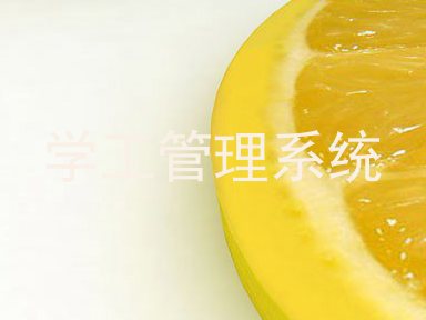学工管理系统