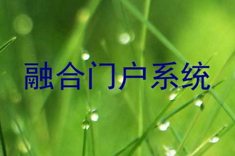 融合门户系统