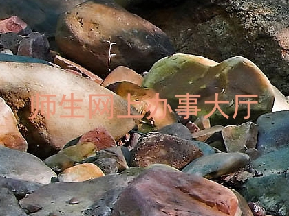 师生网上办事大厅